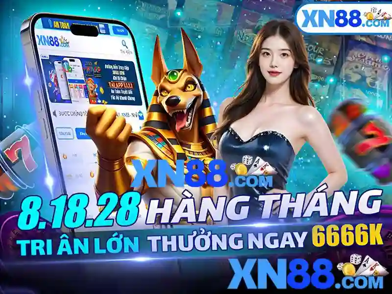 <!--IMG_PLACEHOLDER alt>Trải nghiệm người dùng và phản hồi cộng đồng-->