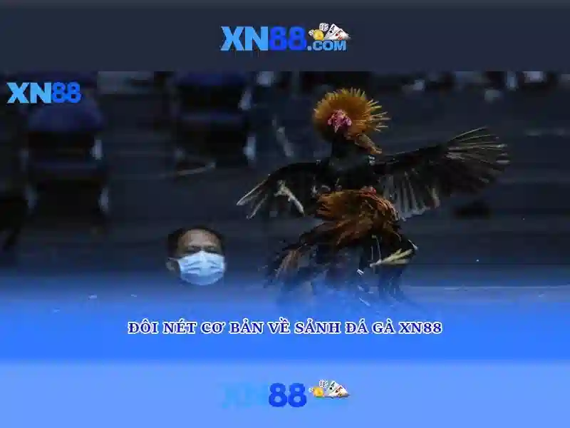 Nguồn gốc và sứ mệnh