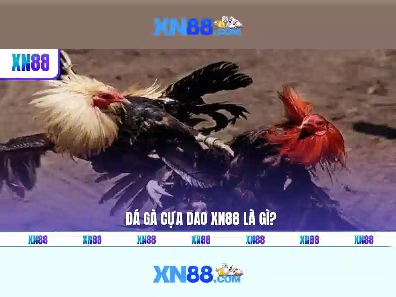 Lịch sử và nguồn gốc của xn88