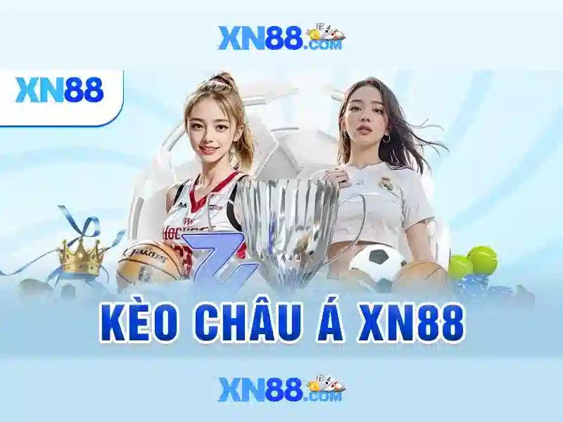 Giao diện người dùng và trải nghiệm