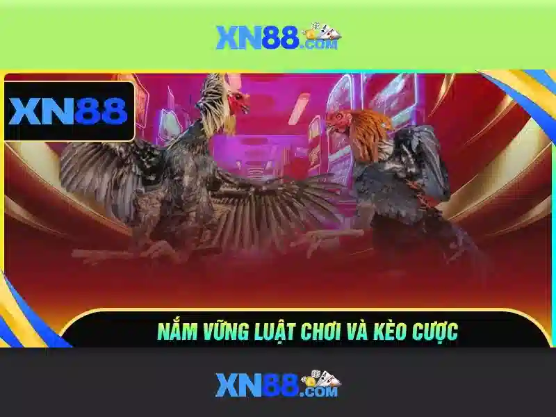 Giao diện nhà cái hoàn hảo