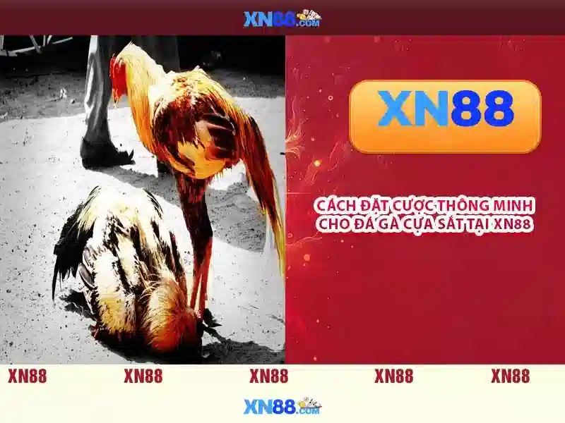 Giao diện nhà cái hoàn hảo