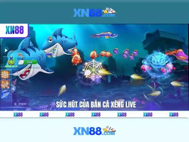 An toàn và trách nhiệm khi tham gia