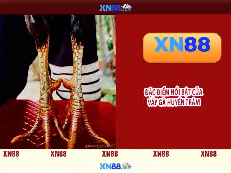 XN88: Nền tảng giải trí trực tuyến và sự đổi mới Giao diện nhà cái hoàn hảo