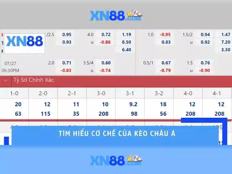 Ưu đãi và chương trình thành viên