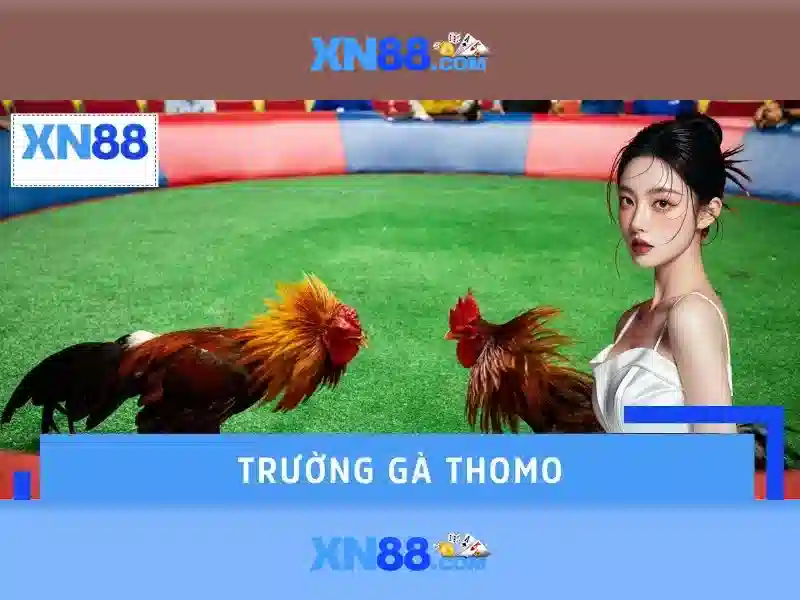 xn88 có uy tín không – Đánh giá và trải nghiệm người dùng Giao diện nhà cái hoàn hảo
