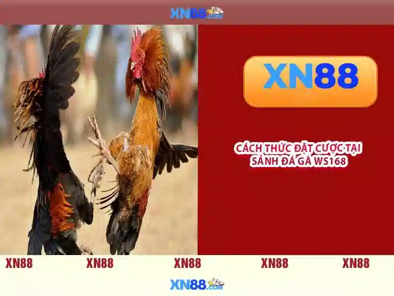 xn88: Tổng quan về nền tảng cá cược trực tuyến nổi bật Giao diện nhà cái hoàn hảo