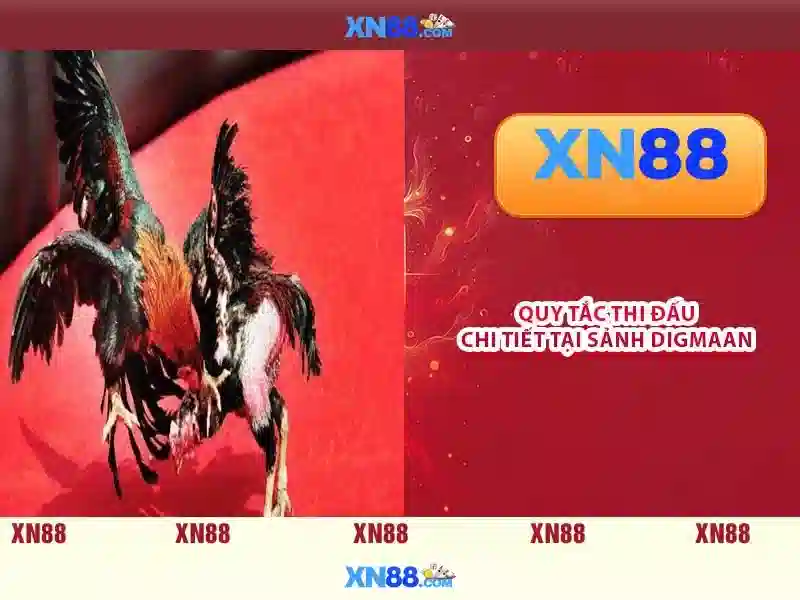 xn88 ios – Tổng quan chủ đề và giá trị cốt lõi