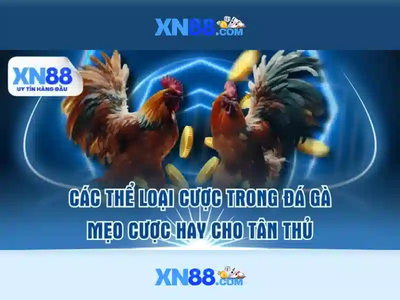 xn88 cacelem – Tổng quan, sản phẩm và tương lai Giao diện nhà cái hoàn hảo