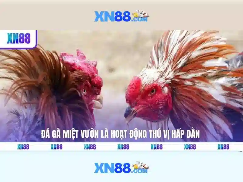 Giao diện nhà cái hoàn hảo