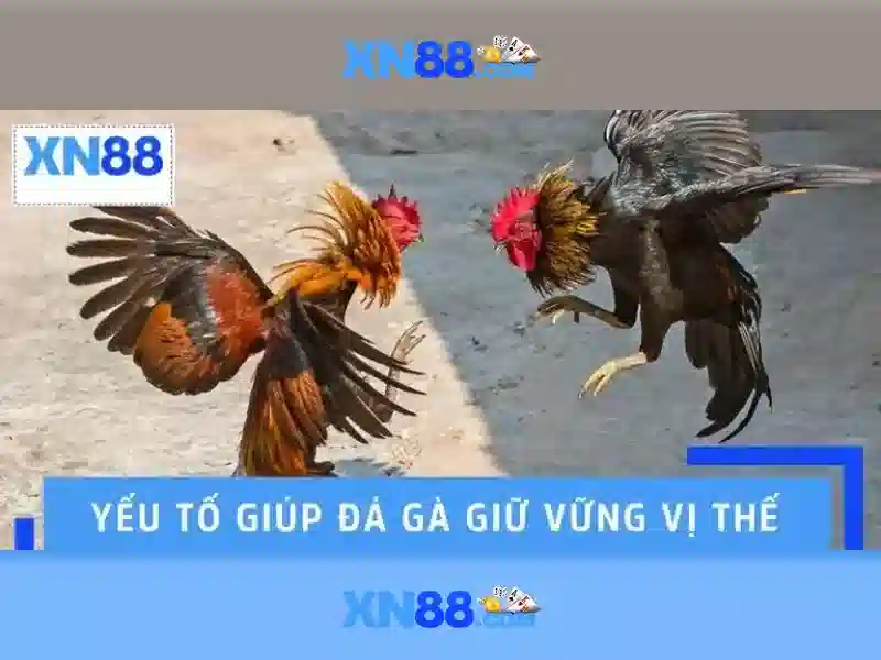 Sản phẩm và Dịch vụ cốt lõi: Ứng dụng cách tải xn88