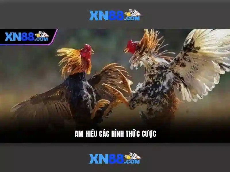 Giới thiệu xn88