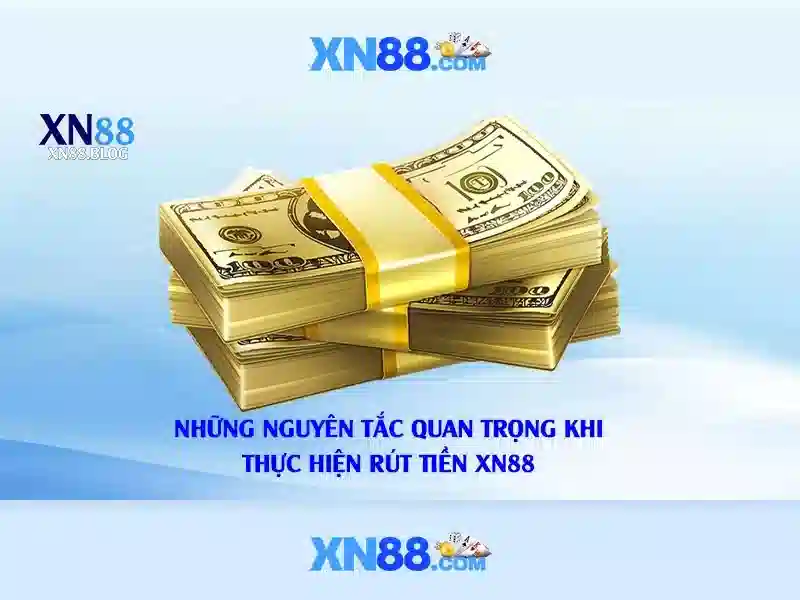 Trải nghiệm người dùng và giao diện
