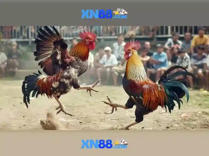 xn88: Đánh giá và hướng dẫn sử dụng nền tảng cá cược trực tuyến Giao diện nhà cái hoàn hảo