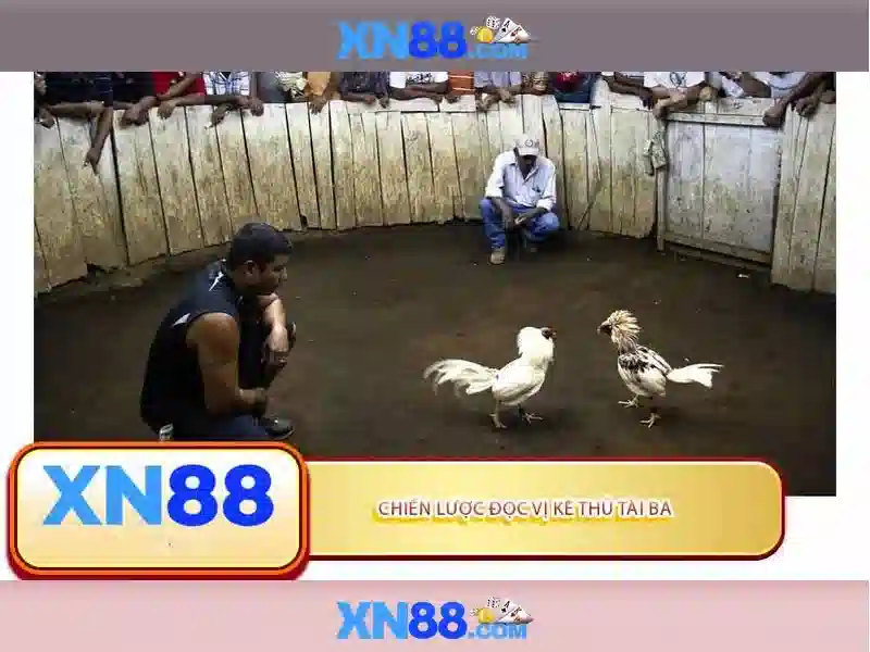 Tổng quan chủ đề và giá trị cốt lõi</span></p>