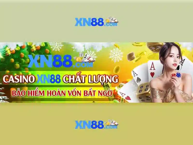Nền tảng và giao diện
