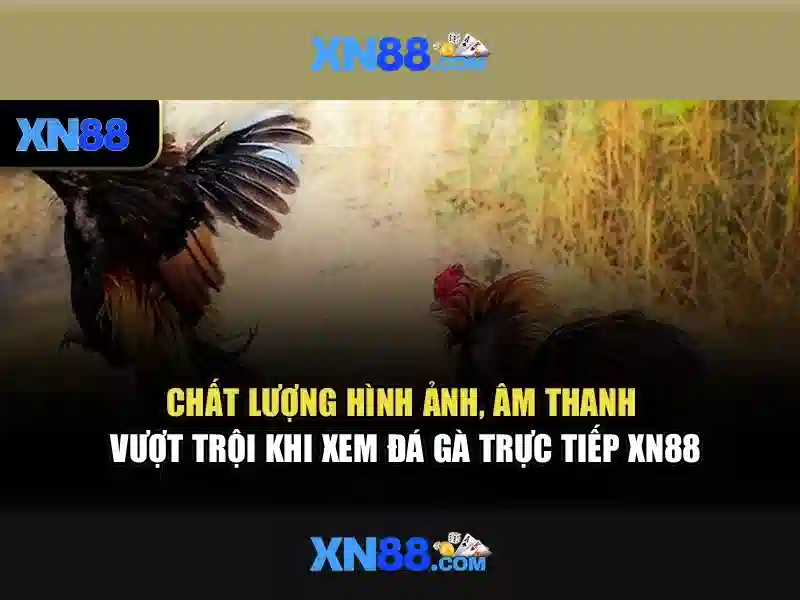Giới thiệu về xn88