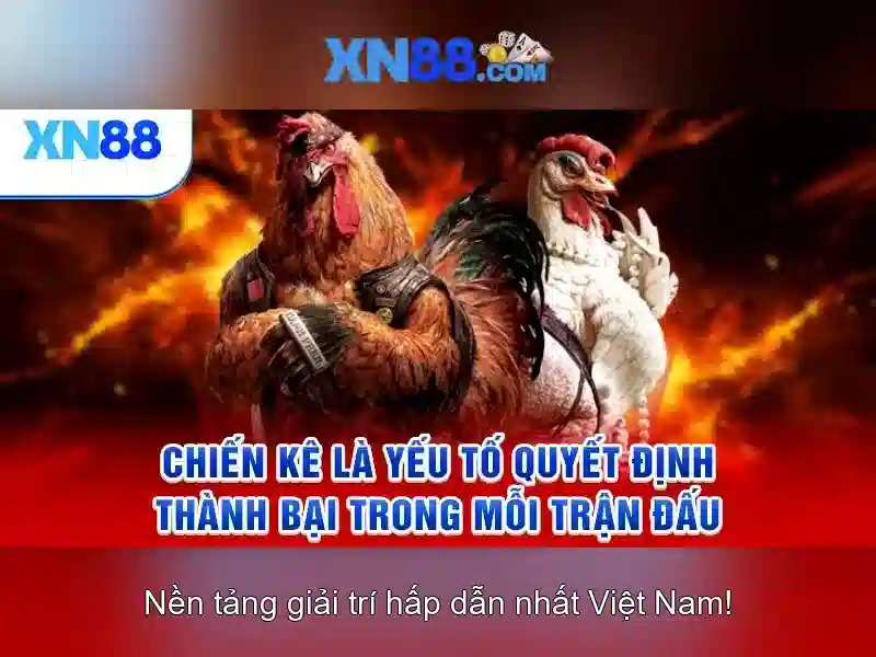 Dịch vụ và trò chơi có tại xn88