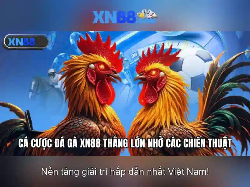 Giới thiệu về xn88