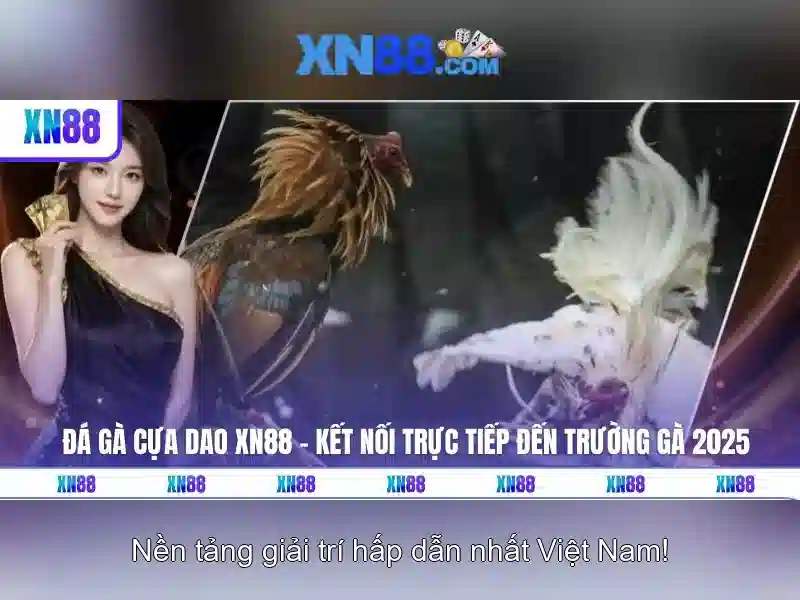 Giới thiệu xn88