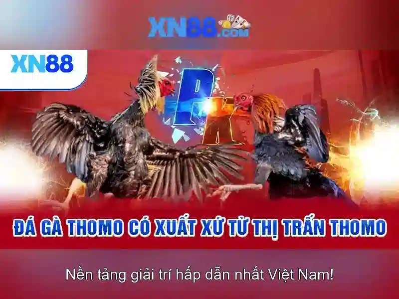 Giao diện nhà cái hoàn hảo