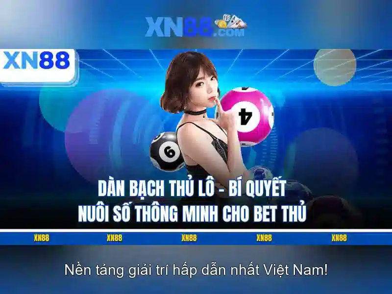 Giao diện nhà cái hoàn hảo
