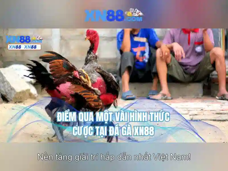 xn88: Nền tảng game và giải trí trực tuyến Giao diện nhà cái hoàn hảo