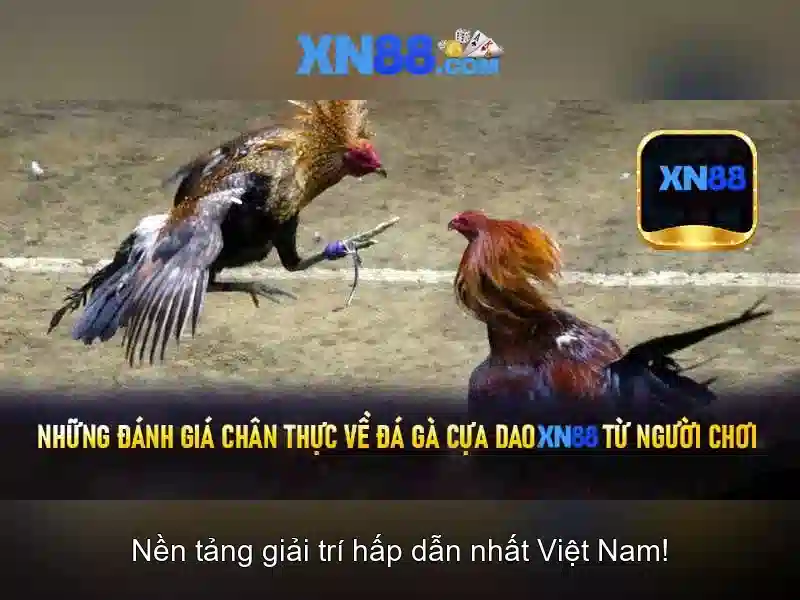Giao diện nhà cái hoàn hảo