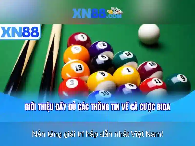 Giao diện nhà cái hoàn hảo