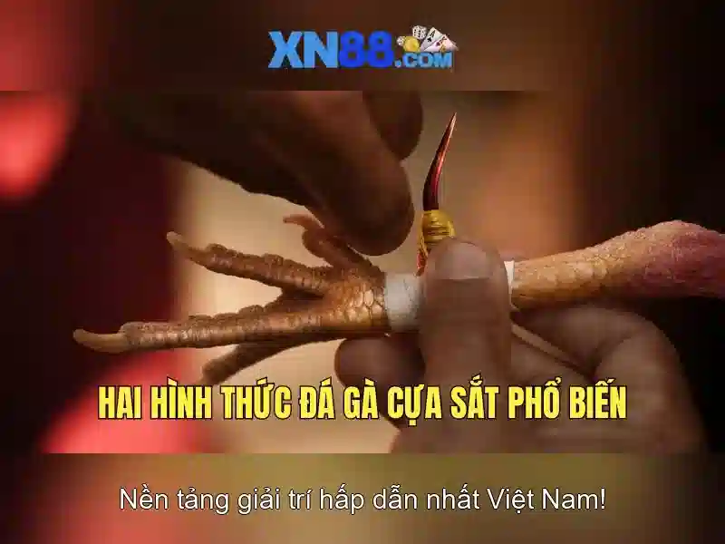 An toàn và bảo mật cho người chơi