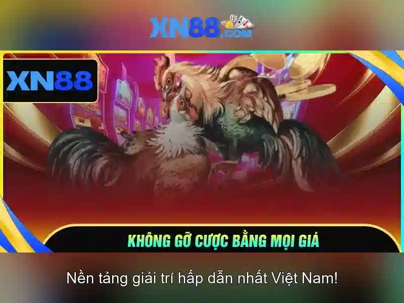 Giao diện nhà cái hoàn hảo