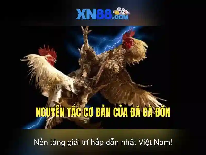 tải game xn88 - đỉnh cao giải trí với gem xn88 và nhập code xn88 Giao diện nhà cái hoàn hảo