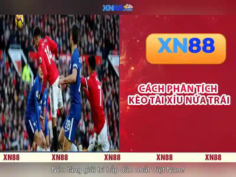 Các tính năng nổi bật