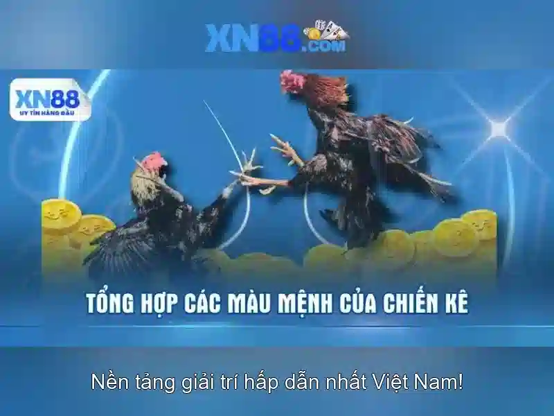 Giao diện và trải nghiệm người dùng