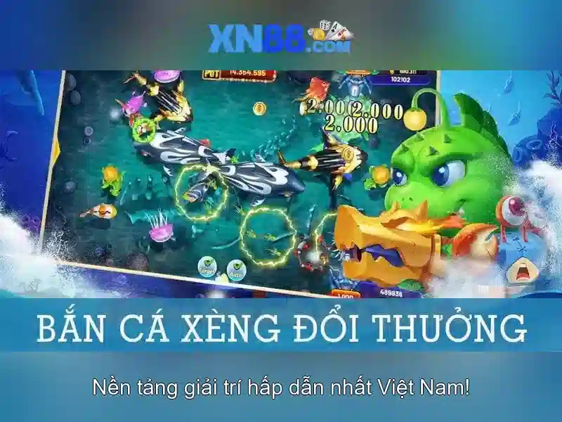 Hướng dẫn an toàn khi tham gia
