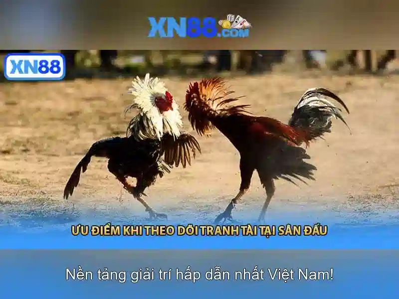 Lịch sử và nguồn gốc
