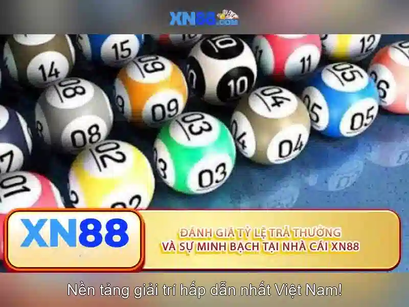 Đánh giá từ người dùng