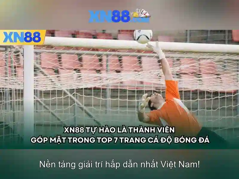 Đánh giá từ người dùng