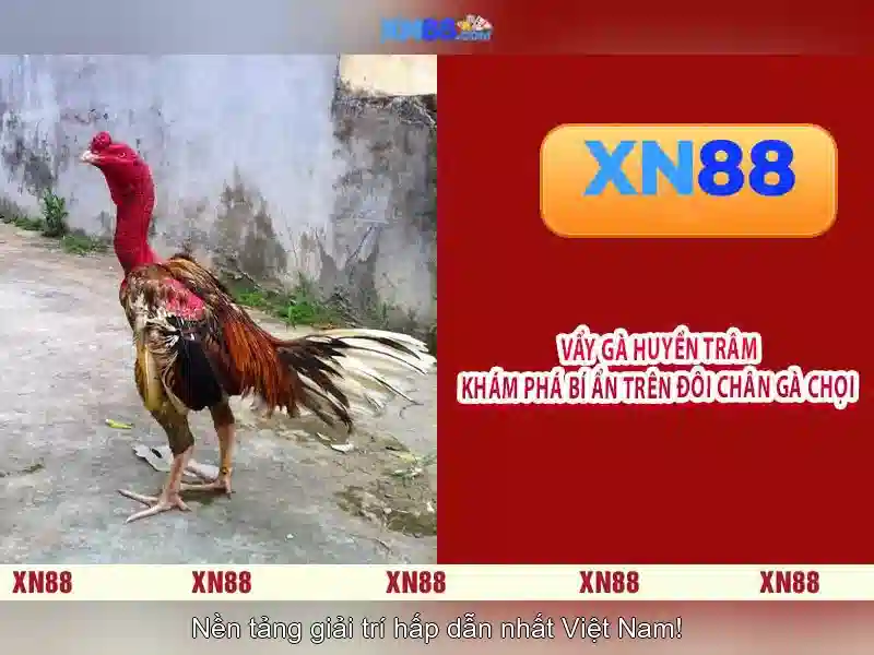 xn88: Nền tảng cược trực tuyến an toàn và đa dạng Giao diện nhà cái hoàn hảo