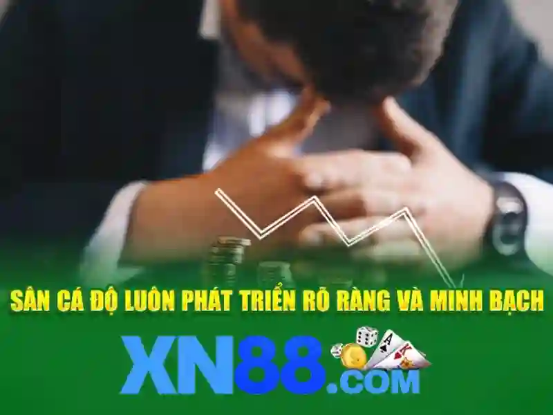 Tong quan ve dieu khoan dieu kien tai nha cai XN88