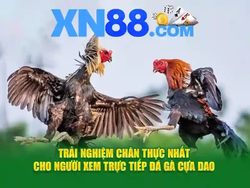 Nguồn gốc và sứ mệnh của tai ap xn88